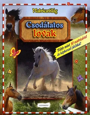 Biztonságos fizetés Csodálatos lovak
