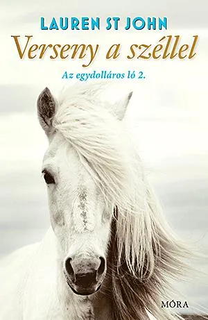 Akciós ár Verseny a széllel