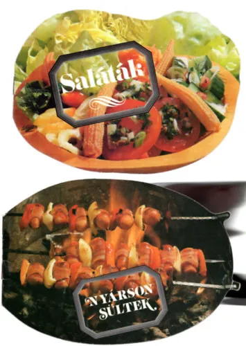 Biztonságos vásárlás 3 db Szakács formafüzet ( együtt ) 1. Fagylalt kelyhek, 2. Saláták, 3. nyárson sültek