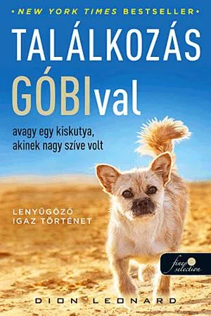 Gyors kiszállítás Találkozás Góbival, avagy egy kiskutya, akinek nagy szíve volt
