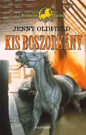 Kis boszorkány Olcsó