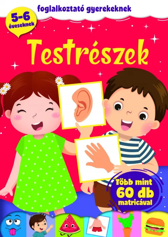 Korlátozott ajánlat Testrészek - foglalkoztató gyerekeknek (szállítási sérült)