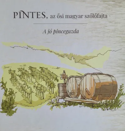 Pintes, az ősi magyar szőlőfajta Alacsony ár
