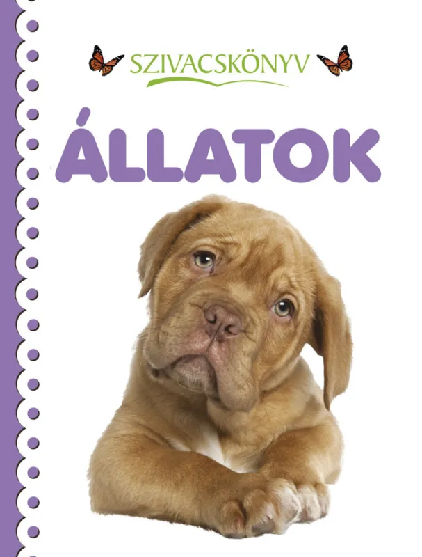 Nézd meg most Napraforgó Szivacskönyv - Állatok