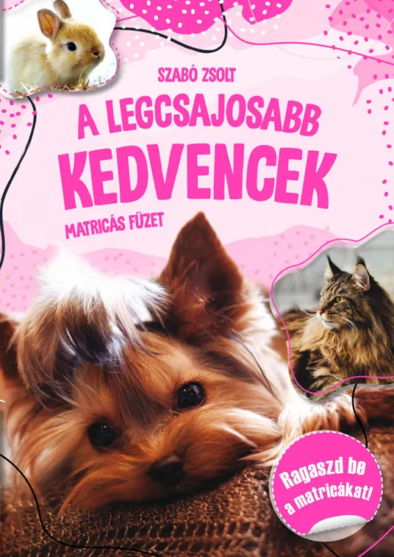 A legcsajosabb kedvencek-matricás füzet Kedvezményes ár
