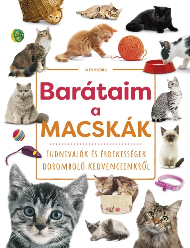 Barátaim, a macskák Olcsó
