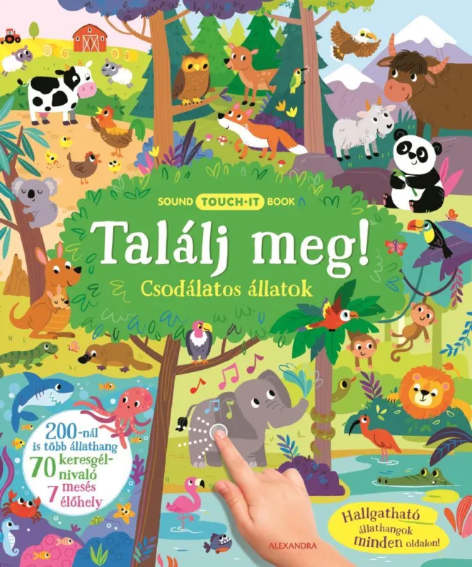 Azonnal elérhető Találj meg!
