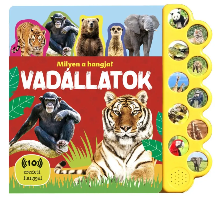 Napraforgó Milyen a hangja? - Vadállatok Azonnal elérhető