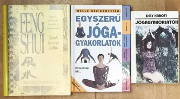 3db jógával, feng shuival kapcsolatos életmódot segítő mű - Jógagyakorlatok, Egyszerű jógagyakorlatok, Feng shui-A térrendezés ősi kínai művészete Utolsó esély