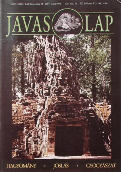 Javas lap IX. évfolyam 12. szám Csak ma