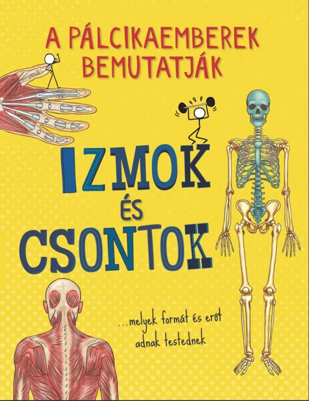 Akció Izmok és csontok - A pálcikaemberek bemutatják