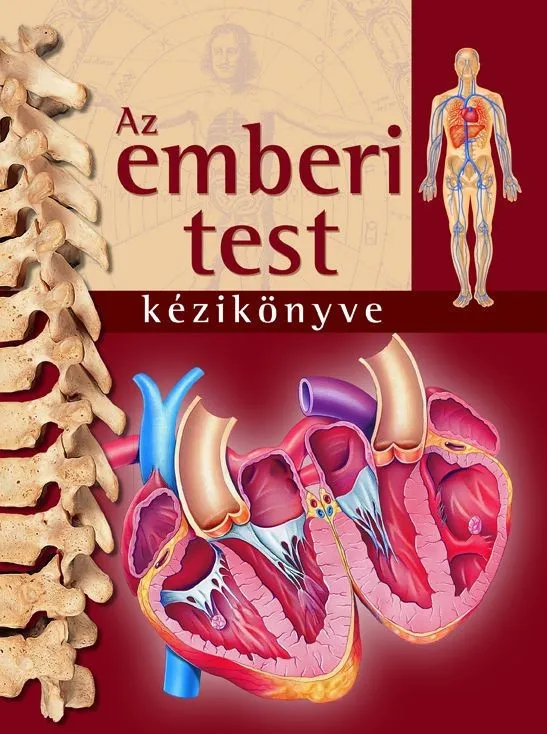 Az emberi test kézikönyve (szállítási sérült) Expressz kézbesítés