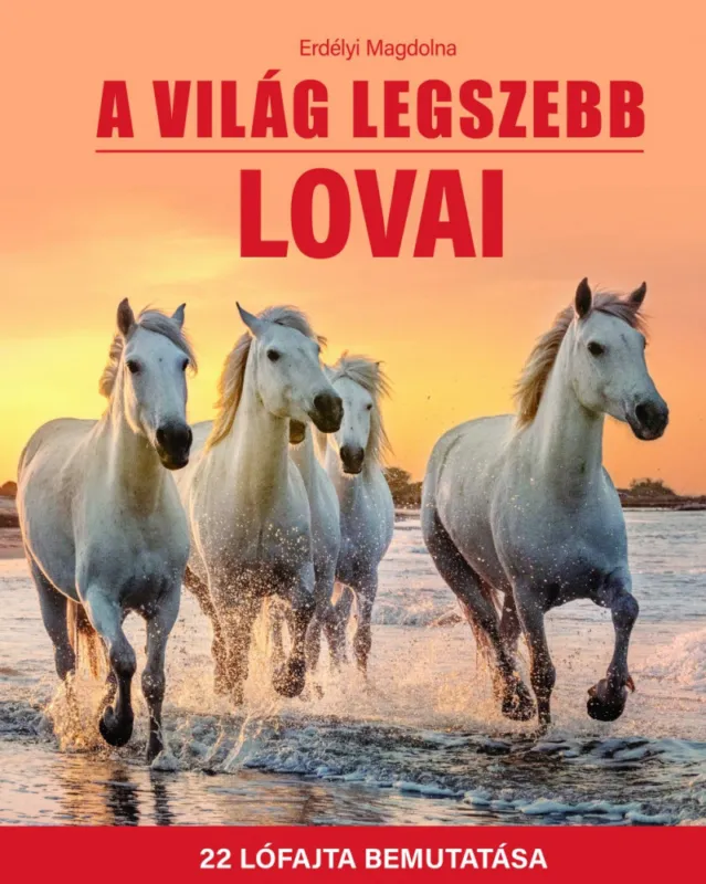 Bestseller A világ legszebb lovai - 22 lófajta bemutatása