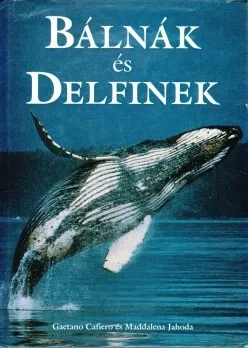 Bálnák és delfinek Biztonságos fizetés