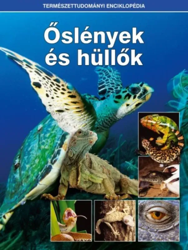 Végkiárusítás Őslények és hüllők - Természettudományi enciklopédia 2.