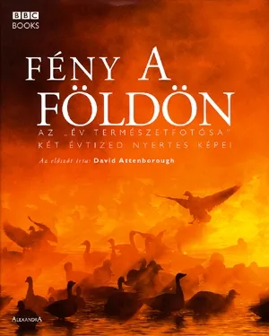 Alacsony ár Fény a Földön