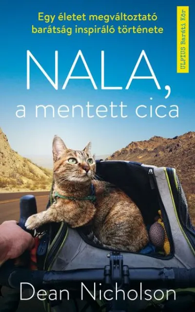 Azonnali szállítás Nala, a mentett cica