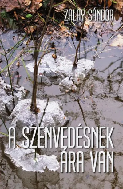 Utolsó esély A szenvedésnek ára van
