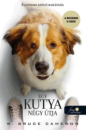 Egy kutya négy útja Csak ma