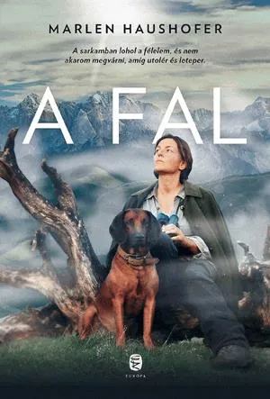 A fal Kihagyhatatlan ajánlat
