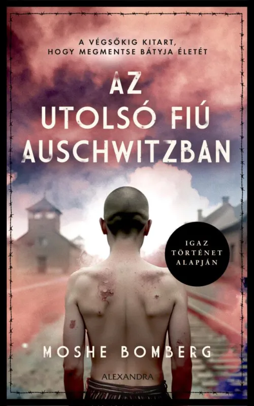 Nézd meg most Az utolsó fiú Auschwitzban
