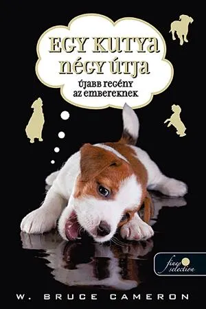 Vedd meg most Egy kutya négy útja