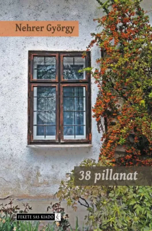38 pillanat - Nehrer György Árcsökkenés