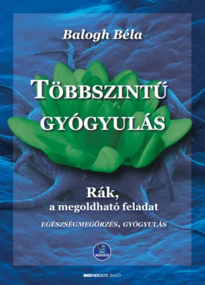 Vedd meg most Többszintű gyógyulás
