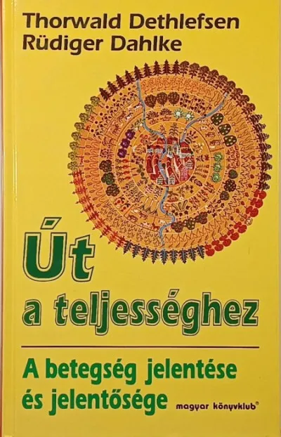 Vedd meg most Út a teljességhez - A betegség jelentése és jelentősége