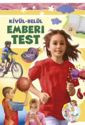 Kívül-belül emberi test Azonnali szállítás