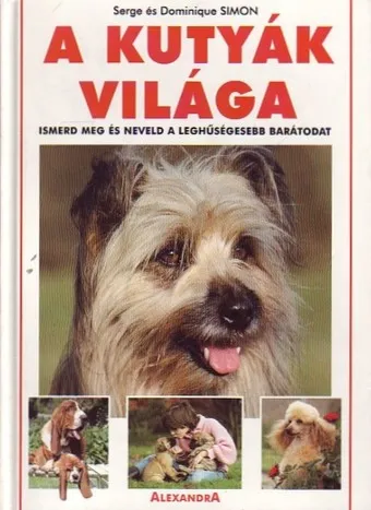 Nézd meg most A kutyák világa