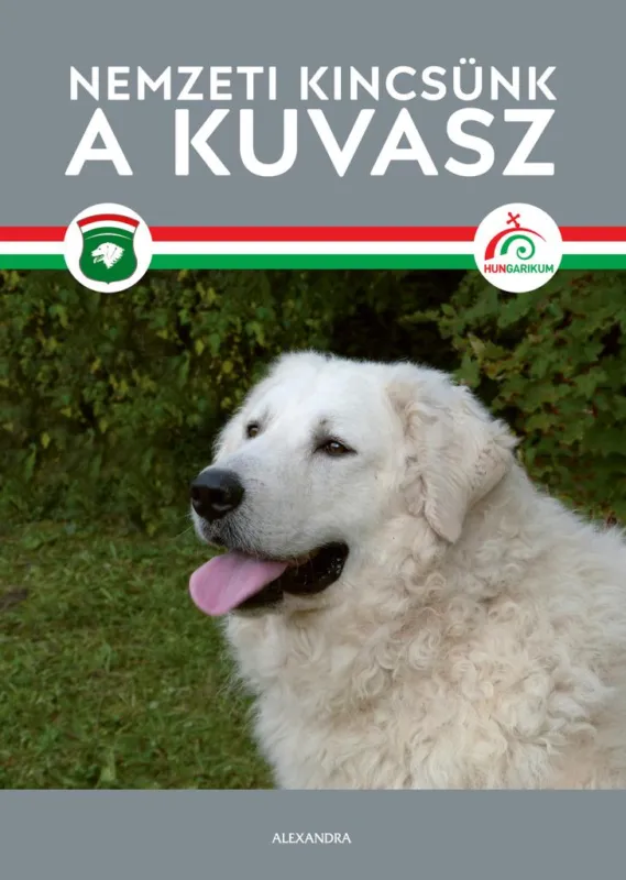 Nézd meg most A kuvasz