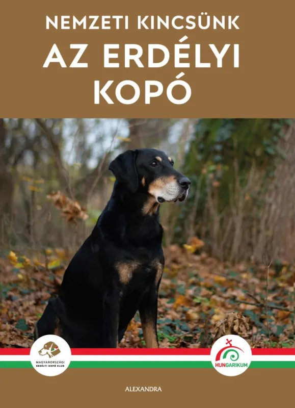 Az erdélyi kopó Vedd meg most