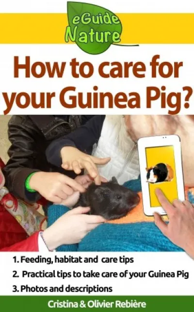 Kedvezményes ár How to care for your Guinea Pig? - Small digital guide to take care of your pet