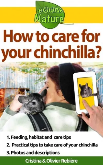 How to care for your chinchilla? - Small digital guide to take care of your pet Biztonságos fizetés