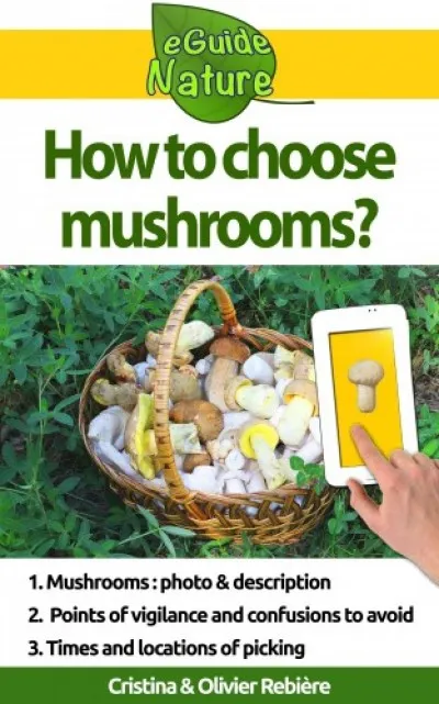 Gyors kiszállítás How to choose mushrooms?