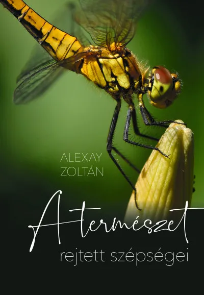 A természet rejtett szépségei Akció