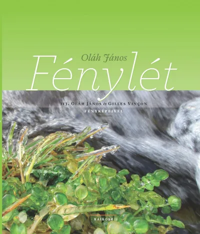 Fénylét Expressz kézbesítés