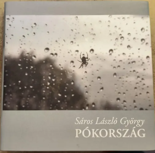 Népszerű Pókország