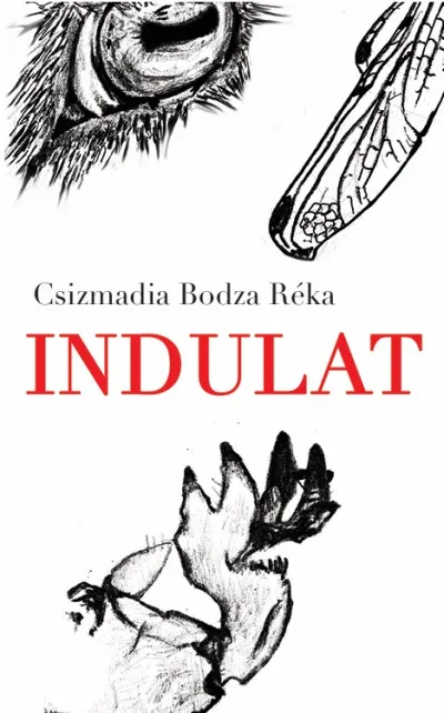 Legjobb ár Indulat