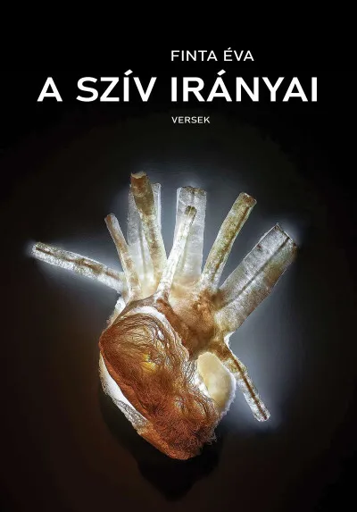 Kedvezmény A szív irányai