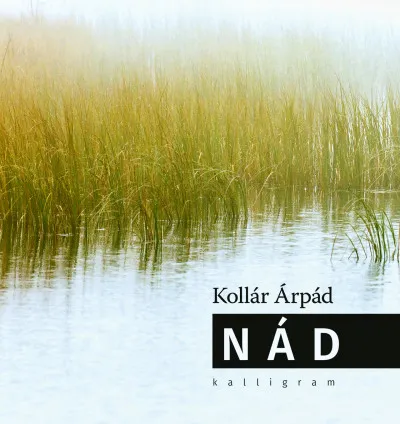 Rendeld meg most Nád