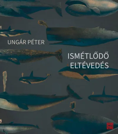 Vásárlói kedvenc Ismétlődő eltévedés