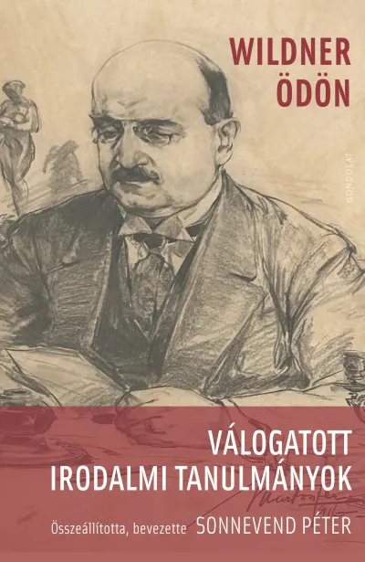 Kedvezményes ár Válogatott irodalmi tanulmányok