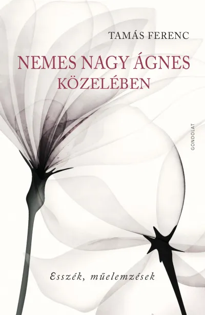 Legnépszerűbb Nemes Nagy Ágnes közelében