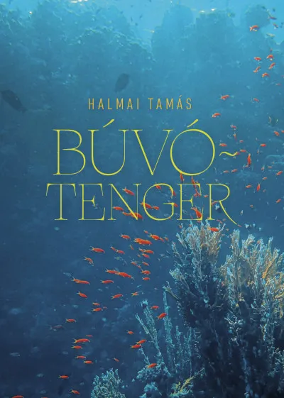 Búvótenger - Esszék, kritikák, olvasatok Ne maradj le