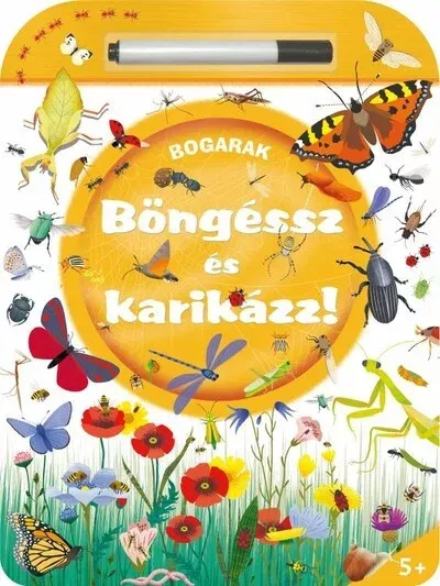 Szezonális akció Böngéssz és karikázz! - Bogarak