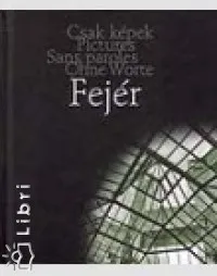 Vedd meg most Fejér gábor. fekete-fejér budapest - black and white budapest - budapest en noir et blanc - budapest schwarz-weiss