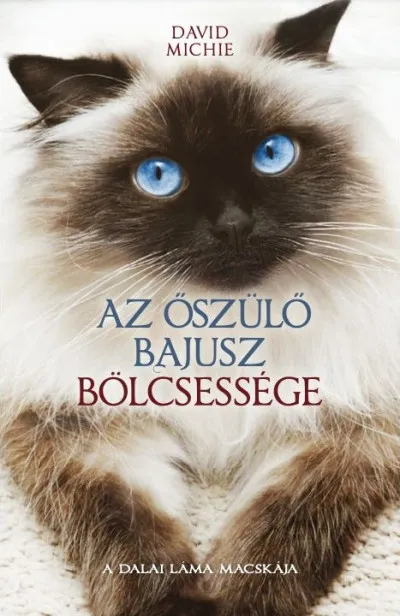 Kedvezményes ár Az őszülő bajusz bölcsessége - A Dalai Láma macskája