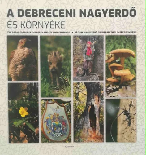 Vedd meg online A debreceni nagyerdő és környéke